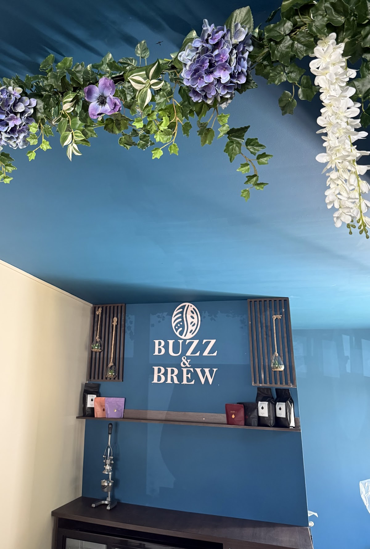 Buzz&Brew Speciality Coffee